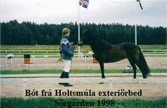 Bt fr Holtsmla exterirbed Srgrden 1998