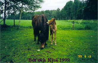 Bt och Kji 1999