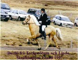 Desil fr Torfastum och Linda, skeifukeppni Islans 1997