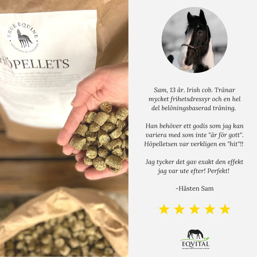 Eqvital Höpellets 20kg