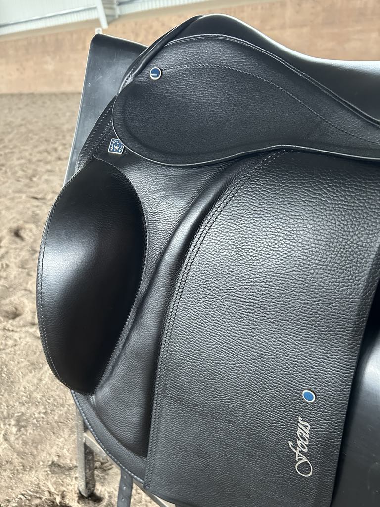 Benni´s Harmony Focus "New" Standard