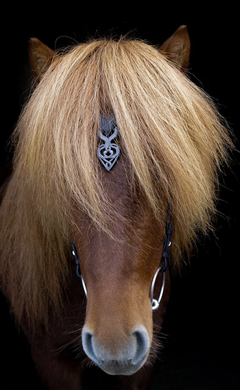 Huvudlag Ennislauf Sleipnir