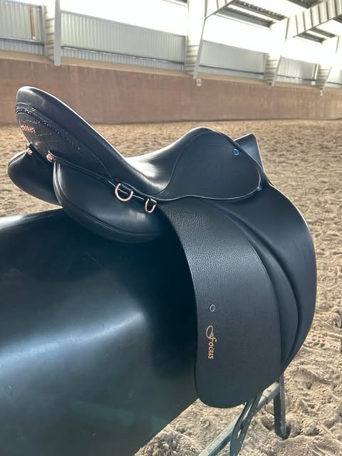 Benni´s Harmony Focus "New" (ink. extra details)