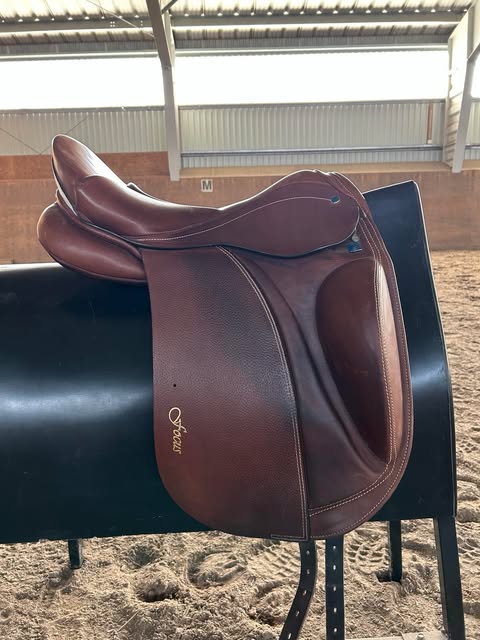 Benni´s Harmony Focus "New" Tobacco