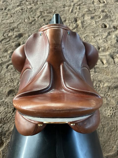 Benni´s Harmony Focus "New" Tobacco