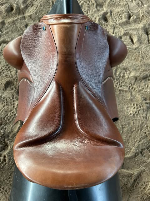 Benni´s Harmony Focus "New" Tobacco