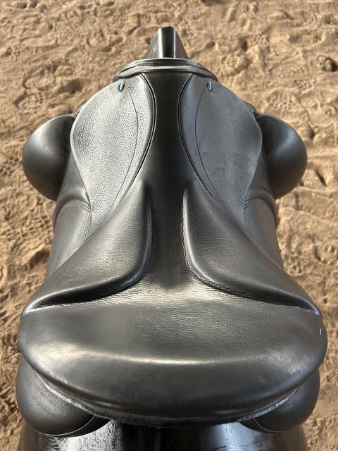 SÅLD Benni´s Harmony Focus