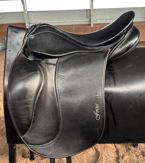 Benni´s Harmony Focus (äldre modellen)