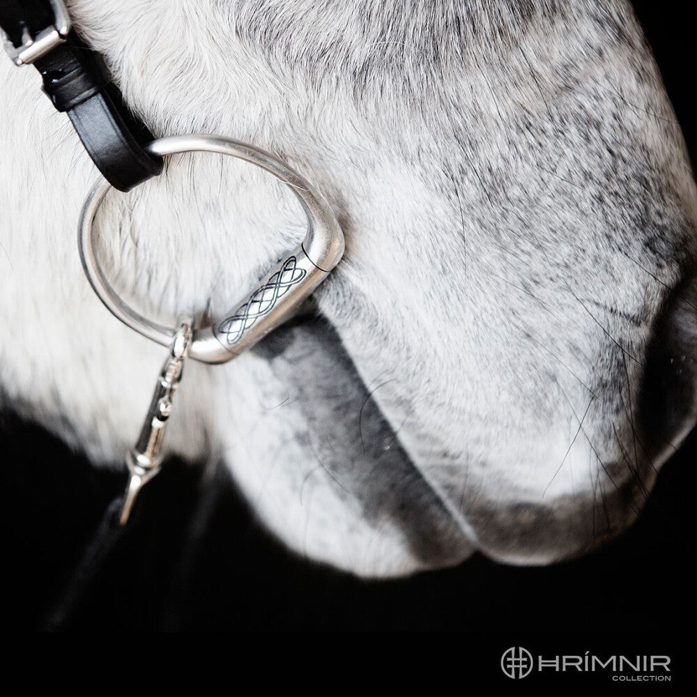 Hrimnir Stainless Steel Bit