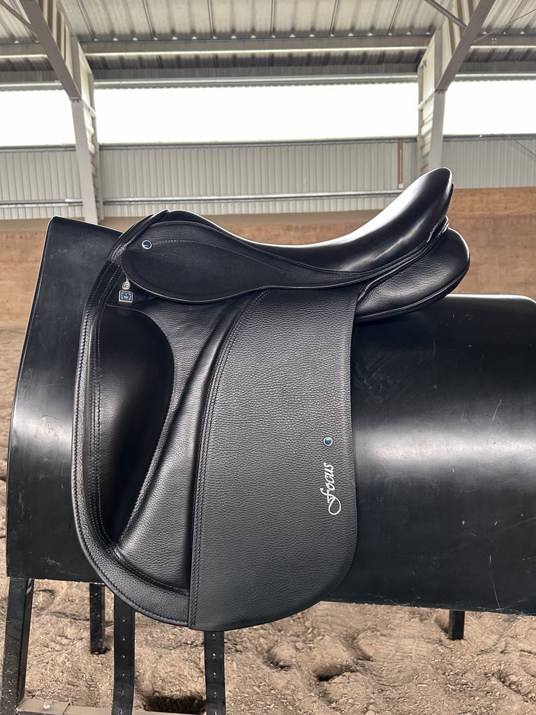 Benni´s Harmony Focus "New" Standard