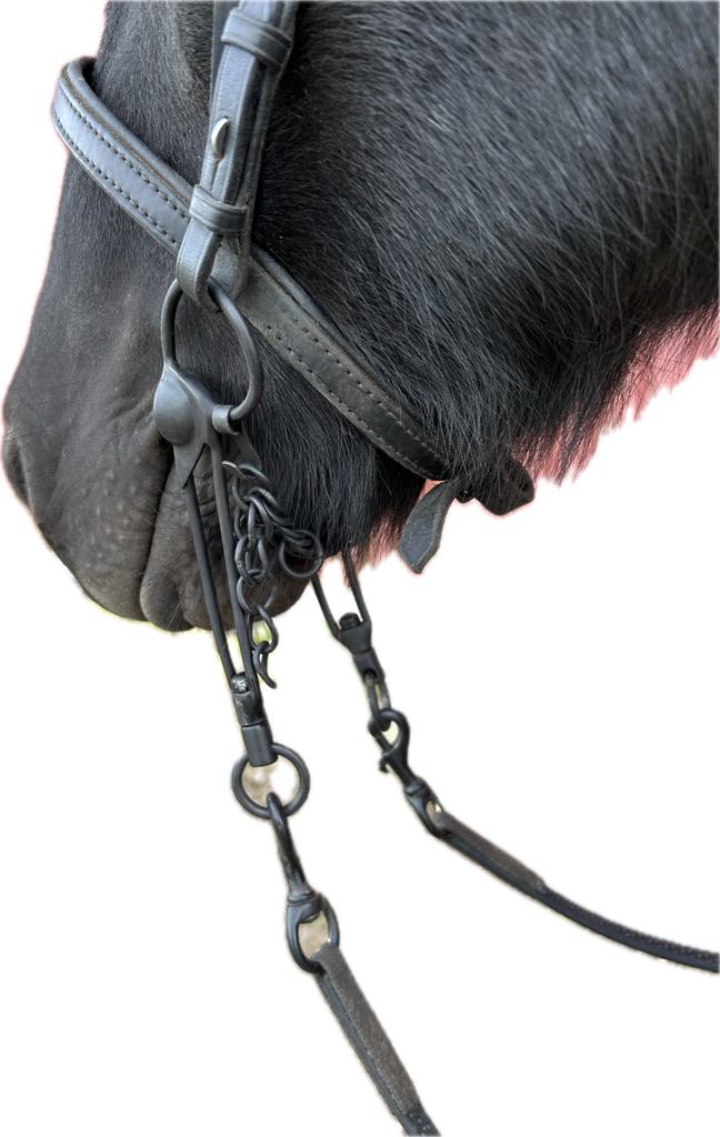 Islandsstång svart /mässing