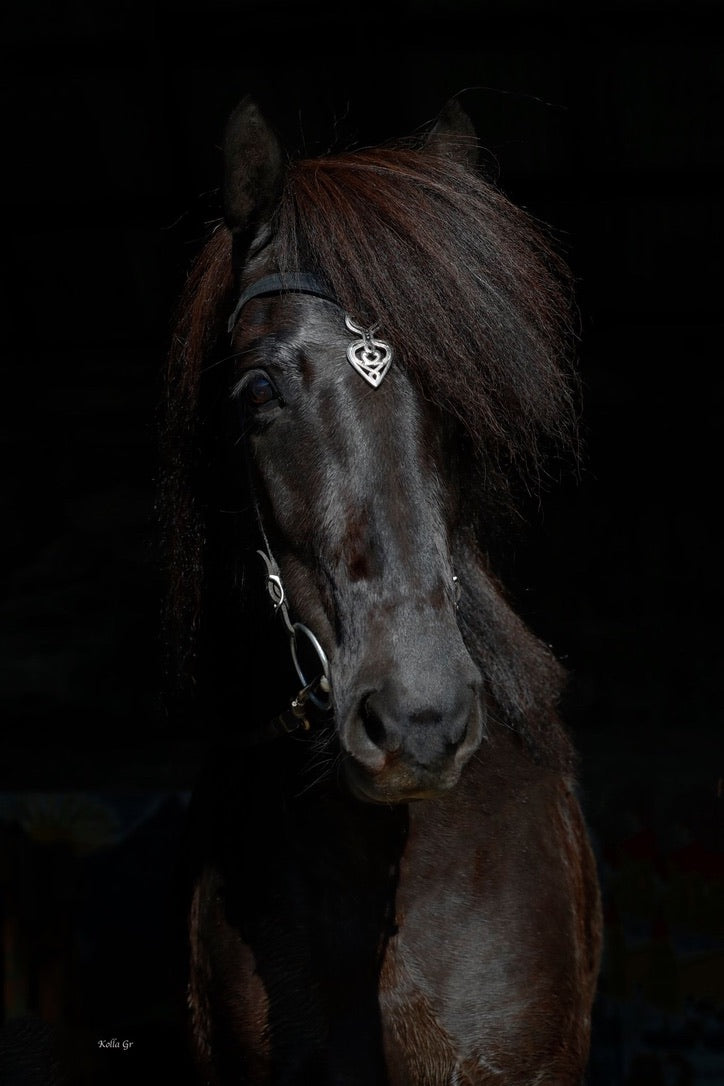 Huvudlag Ennislauf Sleipnir