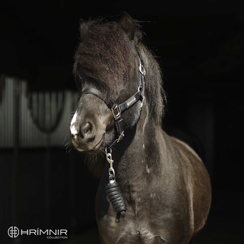 Grimma ink. grimskaft Hrimnir