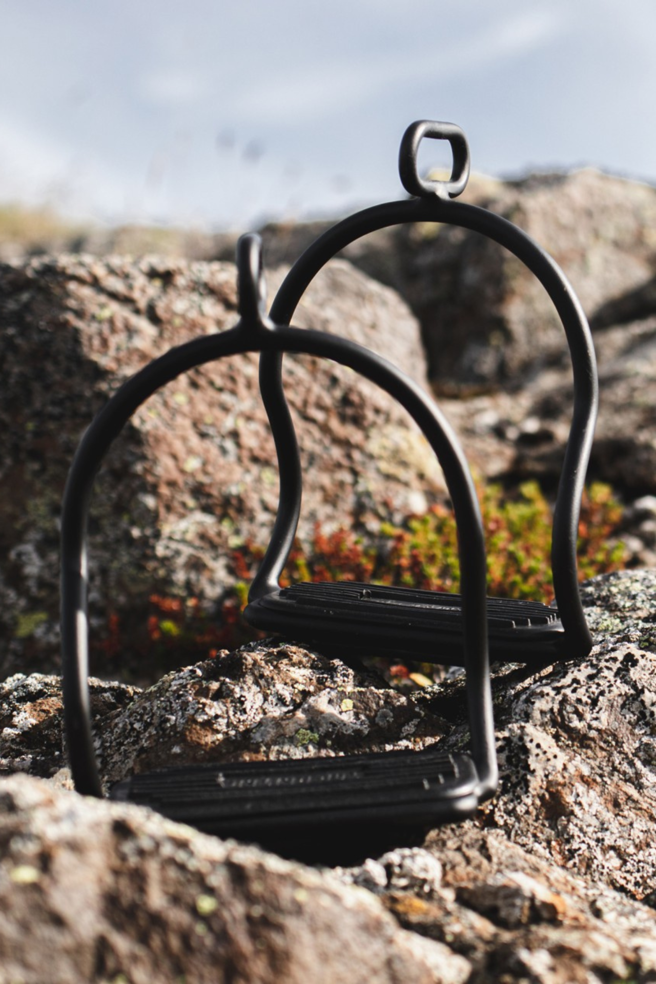 Stigbyglar Top Reiter Säkerhet