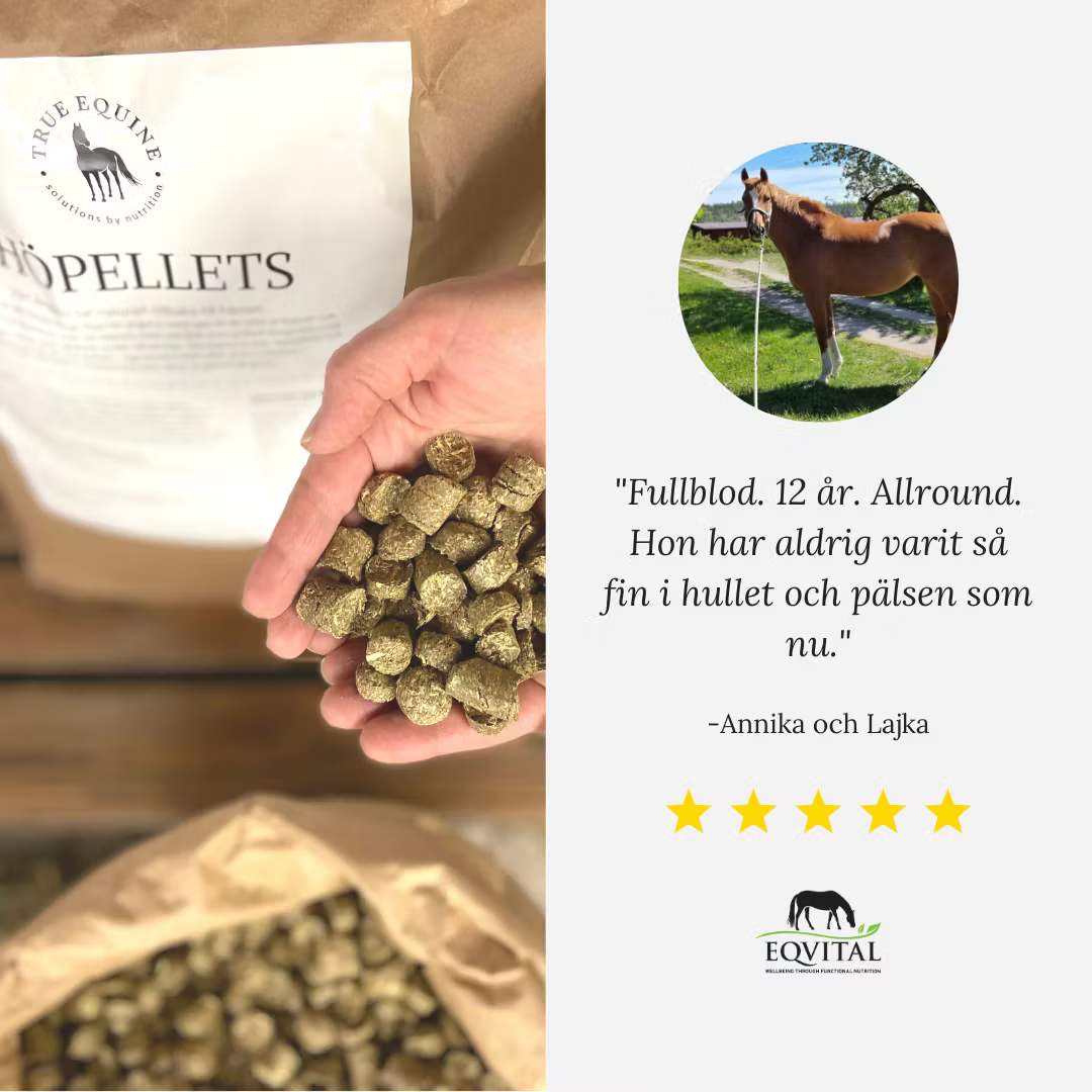 Eqvital Höpellets 20kg