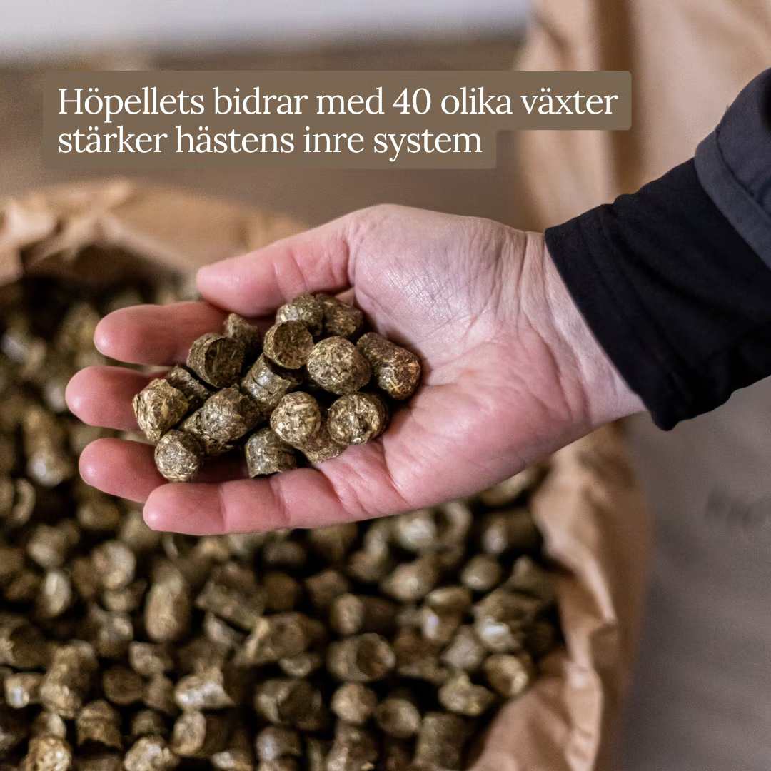 Eqvital Höpellets 20kg