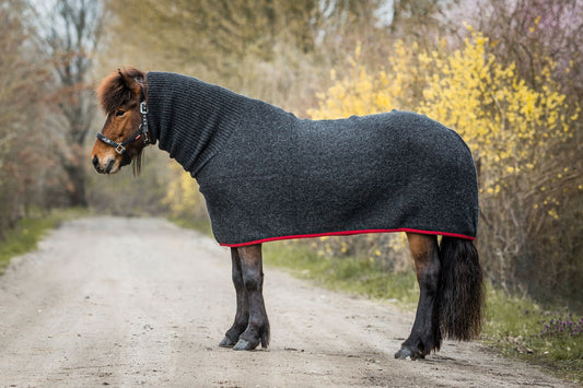 Svettäcke Ull Polokrage ”Red Stripe”