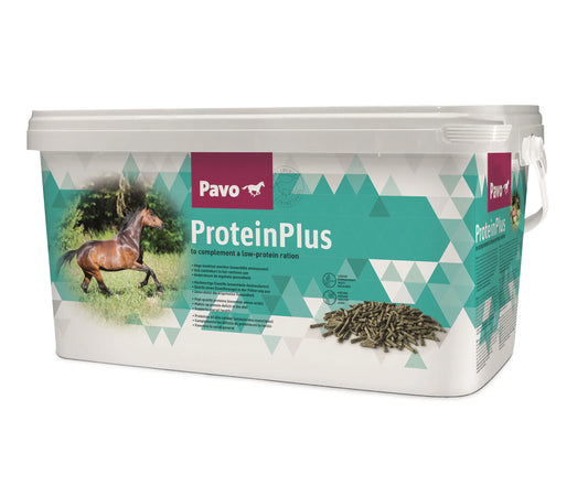 Pavo ProteinPlus