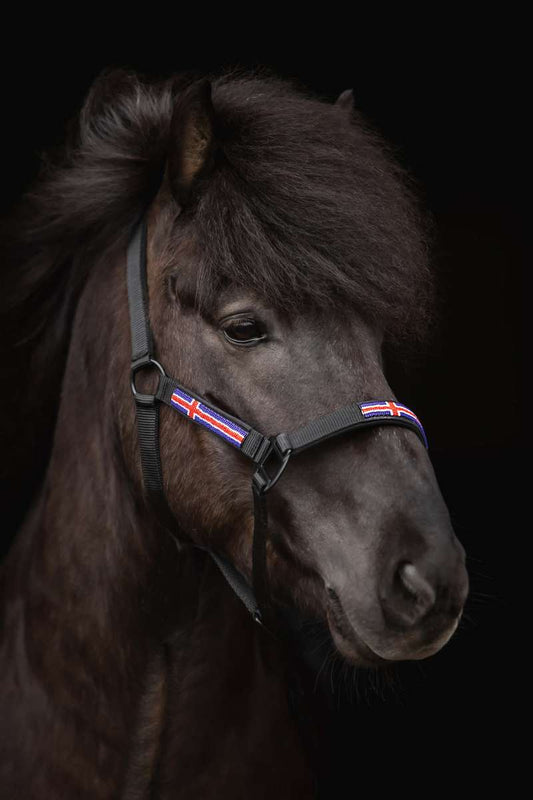 Top Reiter grimma Island Inkl grimskaft