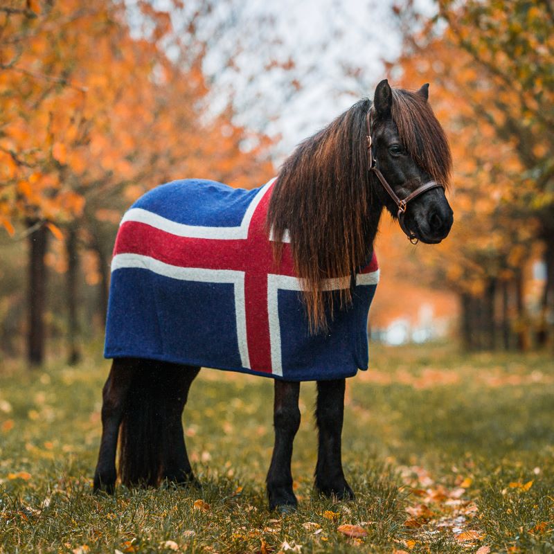 Svettäcke Ull "Fáni"