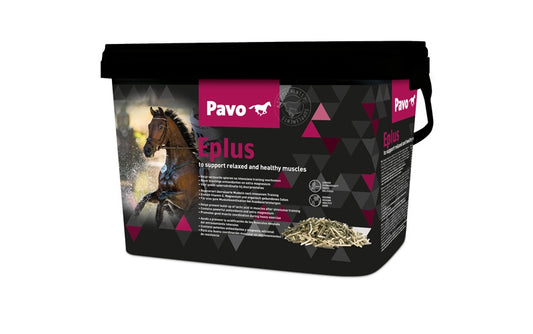 Pavo Eplus