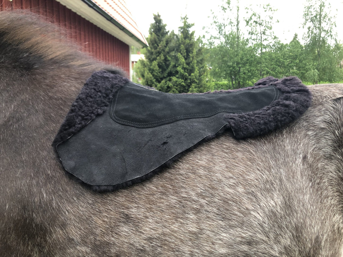 AJ Saddle Pad