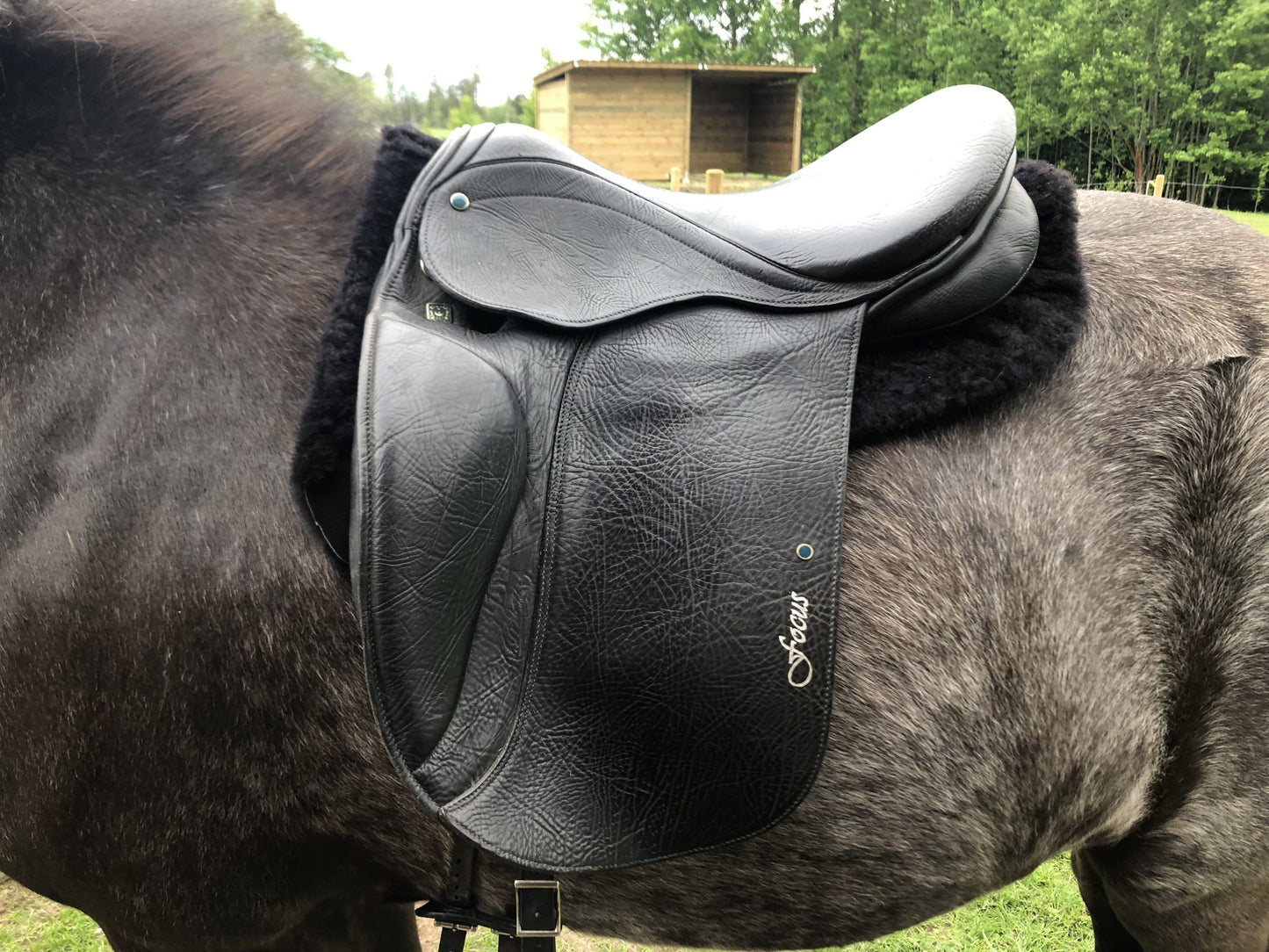 AJ Saddle Pad