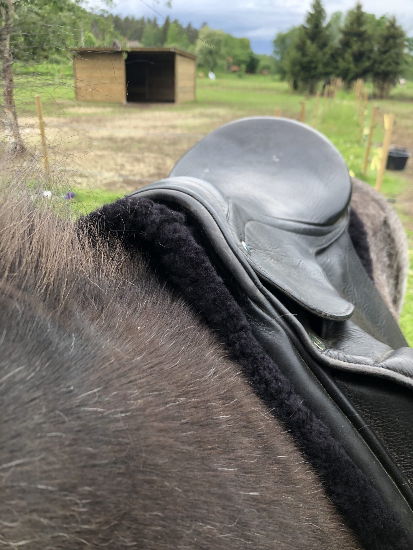 AJ Saddle Pad