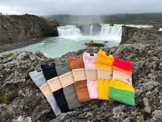 Reiðsokkar Ridstrumpa Pride 75% Merinoull