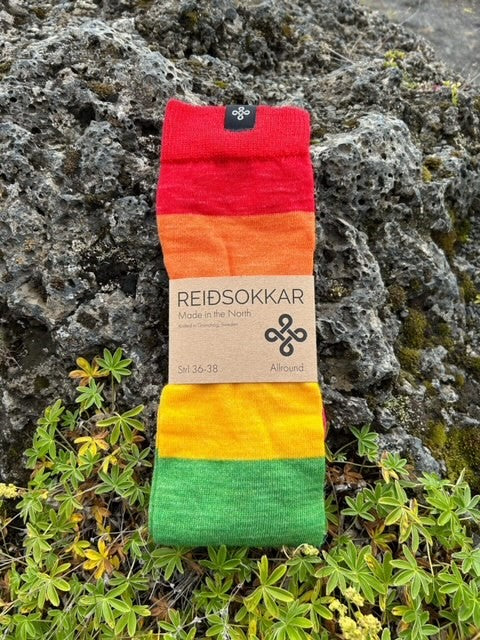 Reiðsokkar Ridstrumpa Pride 75% Merinoull