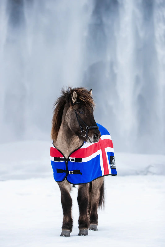 Top Reiter Fleecetäcke Iceland